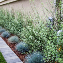 backyard ideas
