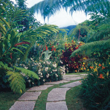 La La Landscape