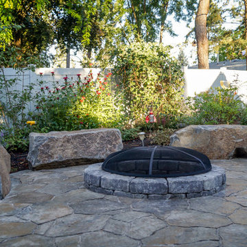 Mid-Century Backyard
