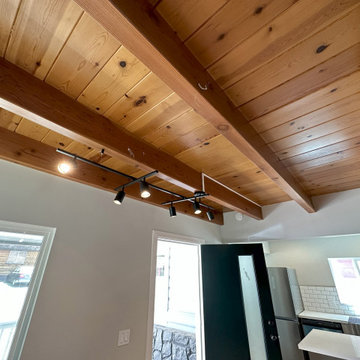 Big Bear - Remodel