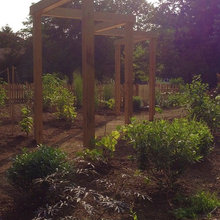 grape arbor