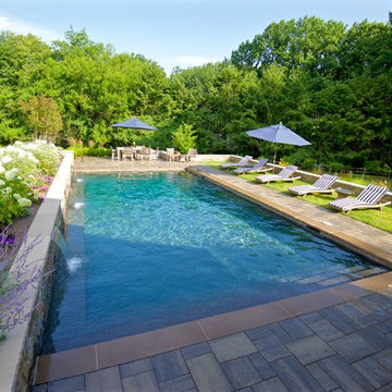 Traditional Elements - Radnor - PA