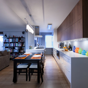 Contemporary Kitchen Cabinets, New York