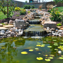 pond