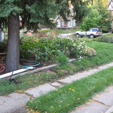 Lansing Sustainable Landscape
