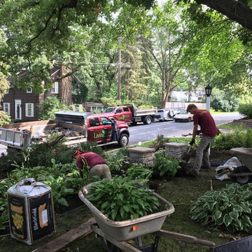 Shade Gardens