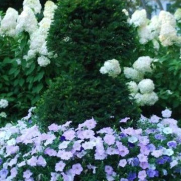 Garden Portfolio