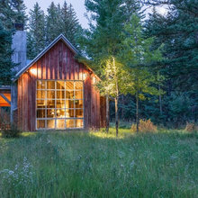 Meadows And Lawn Alternatives