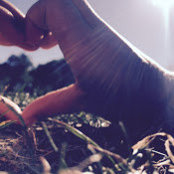 Ingrid Houtkooper's photo