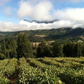 Tom A's photo