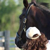 Jackie Dravetz's photo