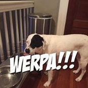 Joseph Partyka's photo