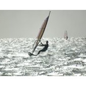 Marcel Westra's photo
