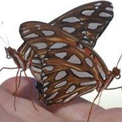 Tina M Maffeo's photo