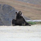 Anne Jones's photo