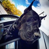 Jeremy McKenna's photo