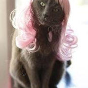 Kelli Fitzgerald's photo