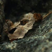 Will Tejeda's photo
