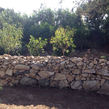 Corsica