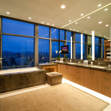 Schlesinger Residence