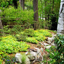 Front garden