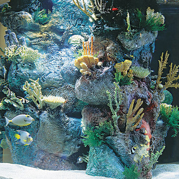 Aquariums
