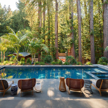 Mill Valley Eclectic House — Noz Nozawa