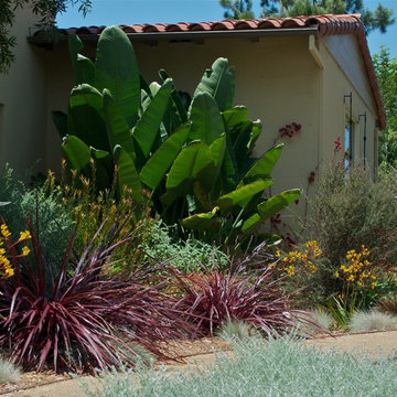 Decomposed Granite path turns corner to front yard fountain water feature