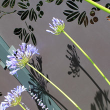 Garden Screens