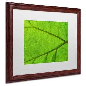 Cora Niele 'Leaf Texture IV' Matted Framed Art
