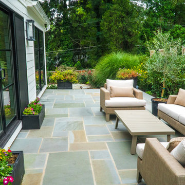 Bala Cynwyd Perfection