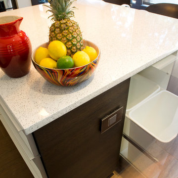 "Corsica" Backpainted White Glass with Wenge Textured