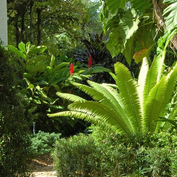 Mediterranean Landscape Design Miami
