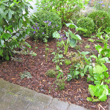 Staudenbeet im Schatten