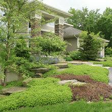 yard