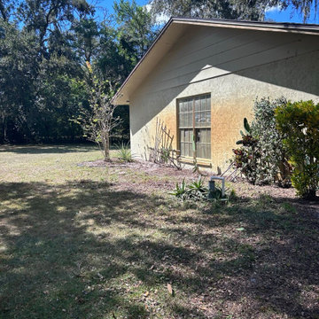 Landscaping Front Yard Clean Up
