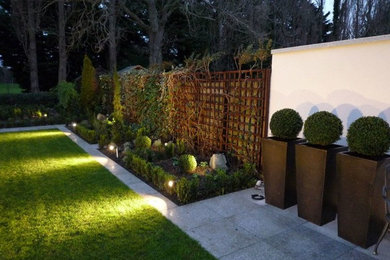 Contemporary garden in Dublin.