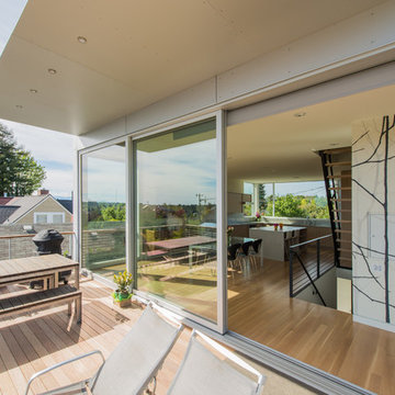 Case Study House
