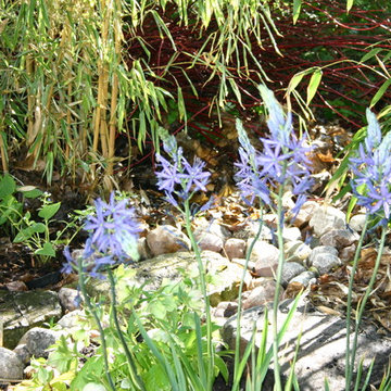 Garten in Blau