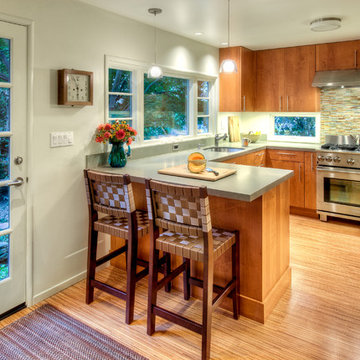 Berkeley Pied a Terre Kitchen Renovation