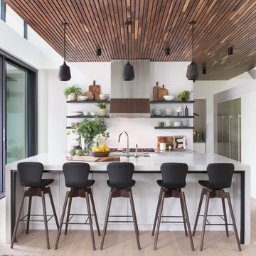 Meridian Hills Modern