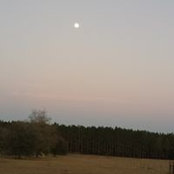 Susi Bordwine's photo