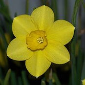 Michelle Burton's photo