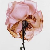 Simone Pasztorek's photo