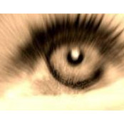 Ana Conway's photo