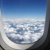 Leila Patou's photo