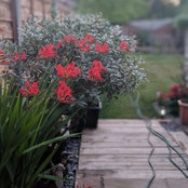 gemma phillips's photo