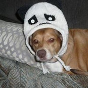 Keith Boutell's photo