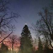 Gail Sanborn's photo