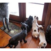 Lois Resseguie's photo